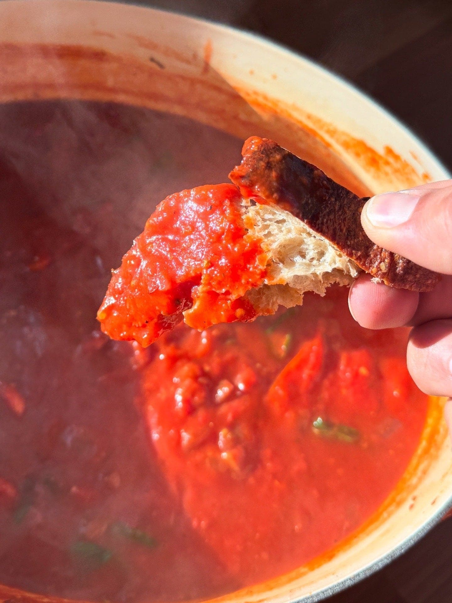 A hand holds a piece of bread dipped in chunky tomato sauce above a pot of simmering sauce.