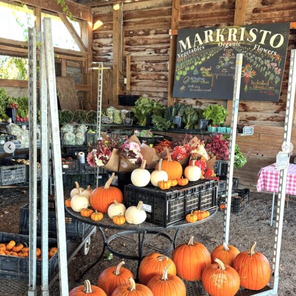 Pumpkins and floral bouquets displayed on tables inside a wooden farm stand with a chalk menu sign for Markristo Farm.